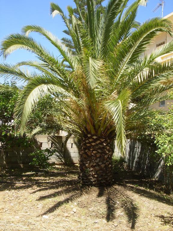 Granny'S House Διαμέρισμα Παλαίκαστρο Εξωτερικό φωτογραφία