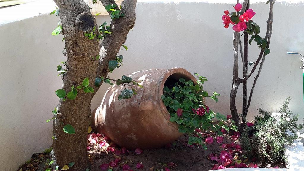 Granny'S House Διαμέρισμα Παλαίκαστρο Εξωτερικό φωτογραφία