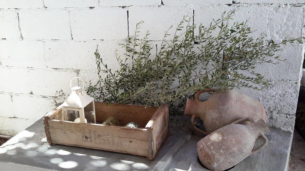 Granny'S House Διαμέρισμα Παλαίκαστρο Εξωτερικό φωτογραφία
